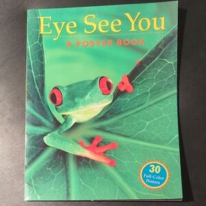 Eye See You Poster Book